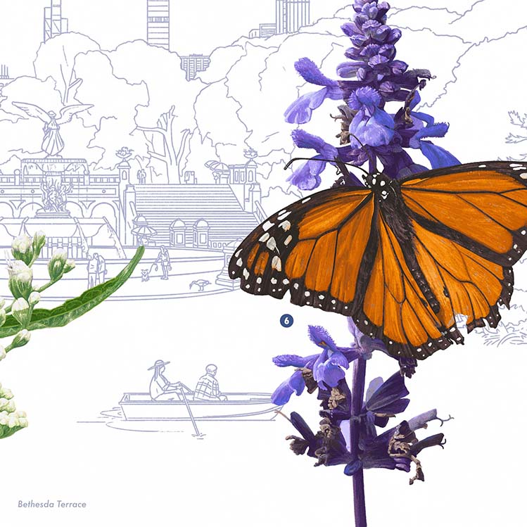 Central Park Pollinators