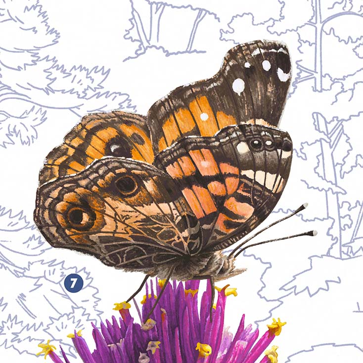 Central Park Pollinators (2025)