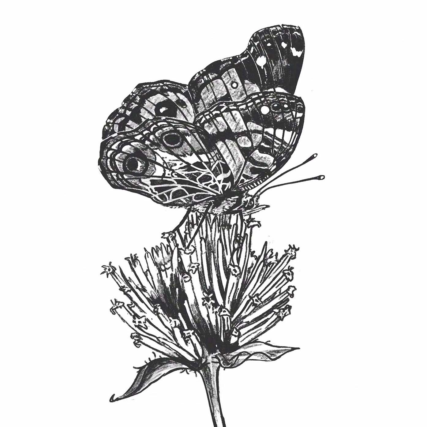 Sketches Central Park Pollinators