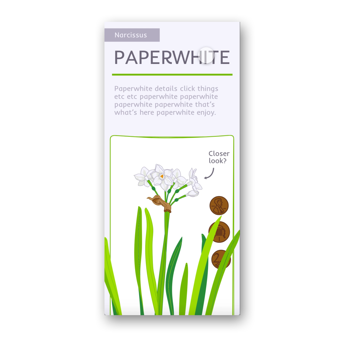 Paperwhite Dissection App
