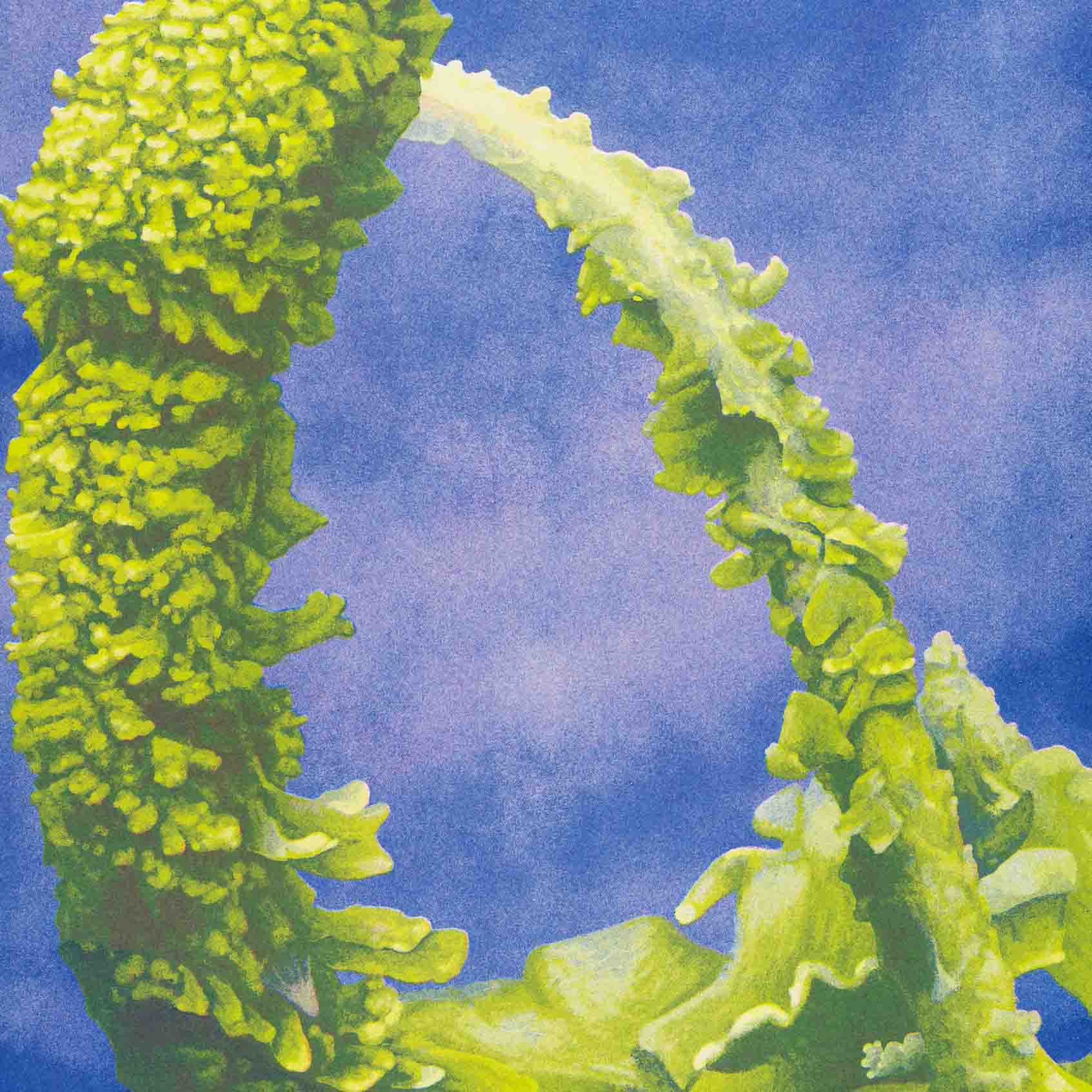 The Intimacies of Lichen (2023)