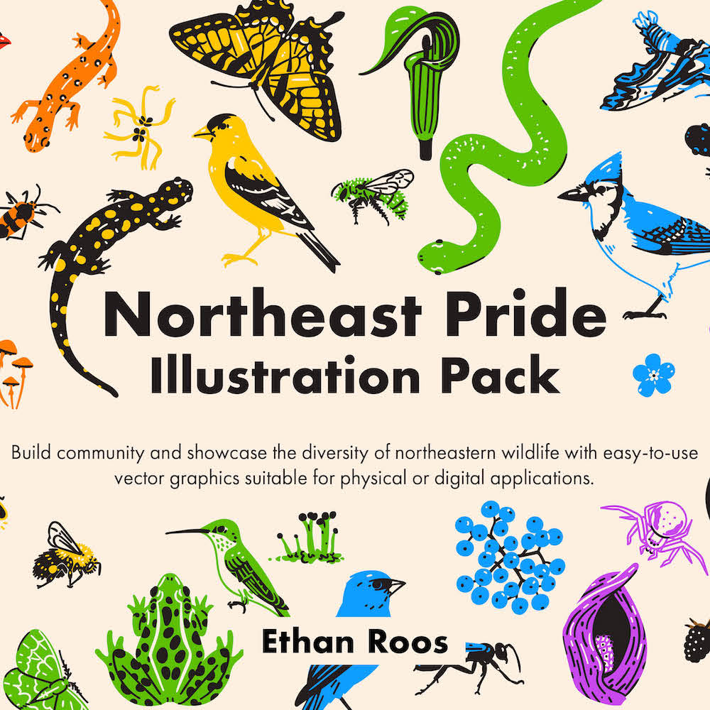 Northeast Pride Pack