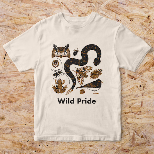 Northeast Pride Pack (2023)